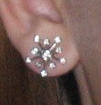 earrings2.jpg
